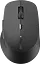 Мышь беспроводная Rapoo M300 Silent Multi-Mode Grey - миниатюра 1