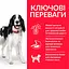 Сухий корм Hill’s SP Adult Medium Breed для дорослих собак середніх порід з куркою 14 кг - мініатюра 2