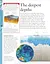 Ocean. A Children's Encyclopedia - миниатюра 4