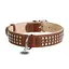 Нашийник для собак шкіряний Waudog Soft з QR-паспортом металічні прикраси Ш 35 мм Д 46-60 см коричневий - мініатюра 2