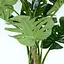 Штучна рослина Engard Monstera 180 см (TW-05) - мініатюра 4