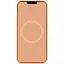 Чохол Silicone case AAA with Magsafe and Animation для Apple iPhone 12 Pro Max 6.7 Помаранчевий/Cantaloupe - мініатюра 4