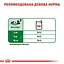 Влажный корм Royal Canin Mini Adult для взрослых собак мелких пород 1,02 кг (12 шт. х 85 г) - миниатюра 4