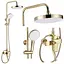 Душова система Rea Bloom gold з виливом REA-P9528, Золотий - мініатюра 5