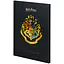 Щоденник шкільний Kite Harry Potter тверда обкладинка (HP25-262-2) - мініатюра 1