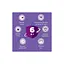 Ополіскувач для порожнини рота Listerine Total Care 250 мл (3574661104522/3574661057071) - мініатюра 3