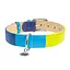 Ошейник для собак кожаный Waudog Glamour с QR-паспортом "Радуга" L Ш 25 мм Д 38-49 см - миниатюра 2