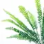 Искусственная ветвь Engard Папоротник 47 см (TW-46) - миниатюра 3