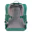 Рюкзак Deuter Pico Dustblue-Alpinegreen (1052-3610021 3239) - миниатюра 2