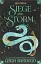 Shadow and Bone. Book 2. Siege and Storm - мініатюра 1