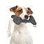 Игрушка для собак Barksi Косточка с канатом S серая - миниатюра 5