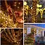 Гирлянда Lezonic 220 LED Fairy Lights Outdoor Power, 8 м/8 режимов, ПВХ Fairy Lights с дистанционным управлением - миниатюра 2