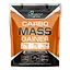 Гейнер Powerful Progress Carbo Mass Gainer 4000 г (1086-100-38-8765859-20) - миниатюра 1