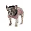 Попона Pet Fashion Max для собак M2 - миниатюра 2