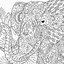 Раскраска-антистресс Jumbi Animalia 24 страницы (RI16051801) - миниатюра 2