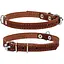Нашийник для собак Collar одинарний (4820152563606) - мініатюра 1