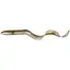 Силікон Savage Gear 3D Real Eel Loose Body 150mm 12.0g #20 Сірий/Бежевий (1013-1854.03.26) - мініатюра 1