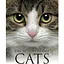 Encyclopedia of Cats - Фотопулос Джулианна - миниатюра 1