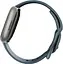Смарт-часы Fitbit Versa 4 Waterfall Blue/Platinum (FB523SRAG) - миниатюра 7