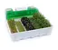 Мікроферма EasyGreen EGL 55 - мініатюра 2