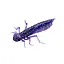 Силикон FishUP Dragonfly 1.2" #060 Dark Violet/Peacock & Silver (10 шт/уп) - миниатюра 1