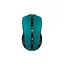 Мышка Canyon MW-5 Wireless Green-Black (CNE-CMSW05G) - миниатюра 1