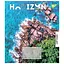 Зошит учнівський "Horizon nature" Yes 767090 36 аркушів Різнокольоровий - мініатюра 1