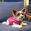 Бомбер Pet Fashion Grace для собак, розмір XS2, рожевий - мініатюра 4
