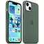 Силіконовий чохол Apple Silicone Case MagSafe для iPhone 13 Eucalyptus MN633ZE/A - мініатюра 1