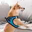 Шлей для собак Xiaomi Jordan & Judy Harness for Dogs Size L PE073 Blue (51122) - миниатюра 3