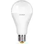 Лампочка TITANUM LED A65e 20W E27 4100K (VL-A65e-20274) - мініатюра 1