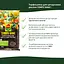 Торфосмесь для цитрусовых растений COMPO SANA® 10 л - миниатюра 5