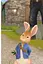 Ladybird Readers 1 Peter Rabbit and the Radish Robber - миниатюра 3
