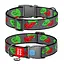 Нашийник для собак нейлоновий з QR-паспортом "Калина" пластиковий фастекс XXL Ш 35 мм Д 46-70 см - мініатюра 1