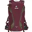 Рюкзак Deuter Race Maron-Khaki (1052-3207018 5206) - мініатюра 2