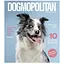 Тетрадь общая Pets magazine Школярик 036-3194K-5 в клетку 36 листов - миниатюра 1