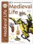 Eyewitness Workbooks. Medieval Life - миниатюра 1
