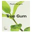 Жевательная резинка True Gum со вкусом мяты без сахара 21 г - миниатюра 1