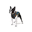 Курточка для собак Collar Waudog Clothes рисунок "Апельсины", XS25, В 37-40 см, С 24-27 см - миниатюра 3
