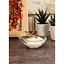 Соусник Pasabache Gastro Boutique 84 мл (53942-SL) - миниатюра 4