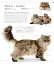 The Cat Encyclopedia - миниатюра 17