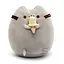 Мягкая игрушка Пушин с мороженым Pusheen 15 см CH PH 05 - миниатюра 1