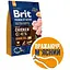 Сухой корм Brit Premium Dog Senior S+M для стареющих собак малых и средних пород с курицей 3 кг - миниатюра 4
