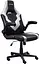 Кресло GXT703W Riye ПУ кожа Foldable Armrests белый Trust teh0013554 - миниатюра 1