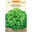 Салат Листовий Гранд Рапідс Насіння України Maxi 5 г - мініатюра 1