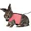 Шлейка с поводком Trixie Soft для большого кролика, нейлон, XL: 25-40 см (цвета в ассортименте) - миниатюра 8