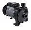 Насос поверхневий відцентровий Thermo Alliance CPm170/1 - мініатюра 1