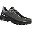 Кросівки Salewa Alp Trainer 2 GTX Mns 42 коричневий - мініатюра 1
