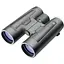 Бінокль Leupold 10x50 BX-2 Acadia Roof Black (115471) - мініатюра 1