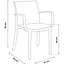 Стілець садовий пластиковий Bica Verona armchair графіт - мініатюра 3